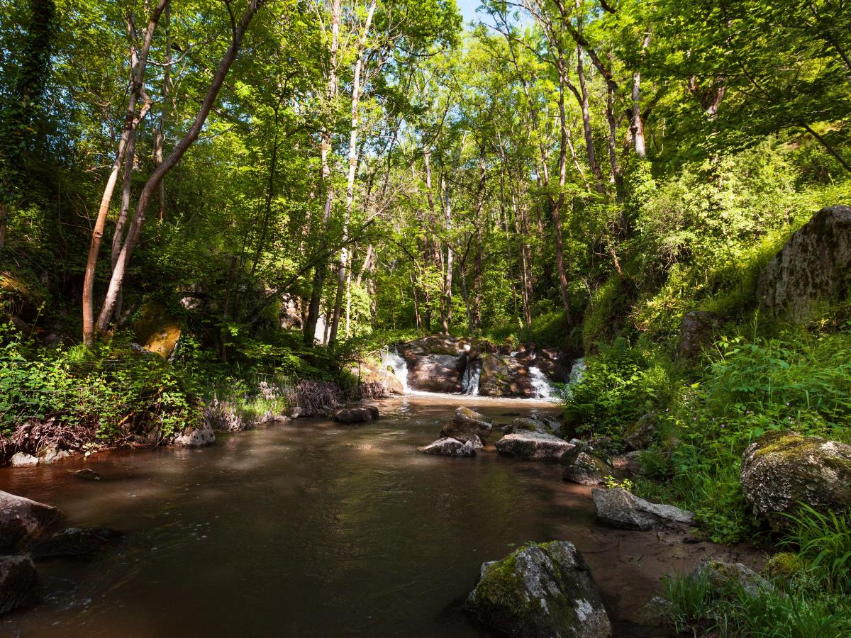 Forez Est Loire Tourisme