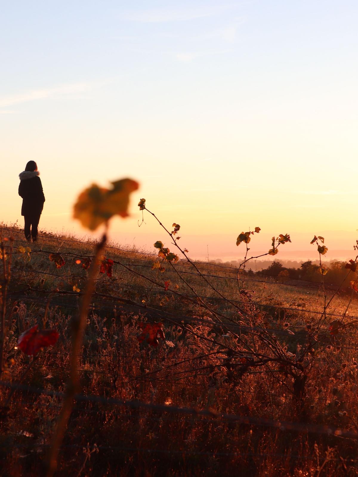 Village de SainteCroixenJarez (SainteCroixenJarez) Loire Tourisme