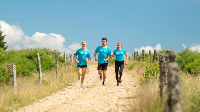 R Saint Regis Du Coin Adt42 Masson 12 2